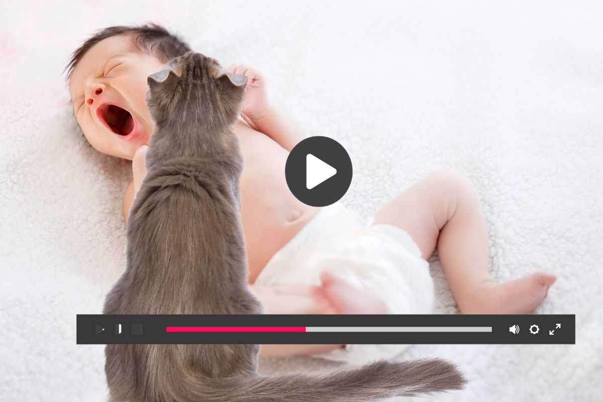 Video virale, gattino consola bambino lacrime