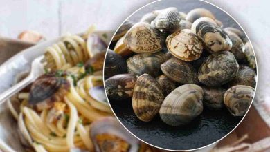 i tipi di vongole più conosciuti