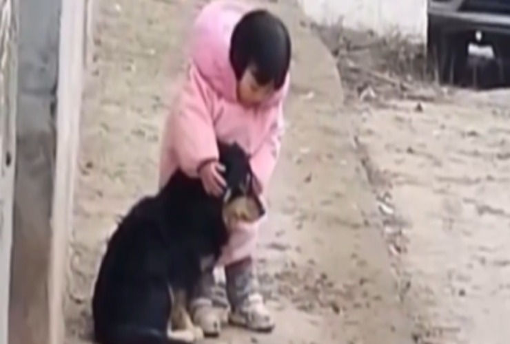 Bambina che protegge il cane