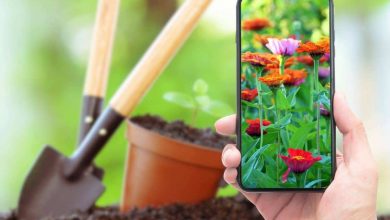 Come usare lo smartphone per controllare le piante del giardino