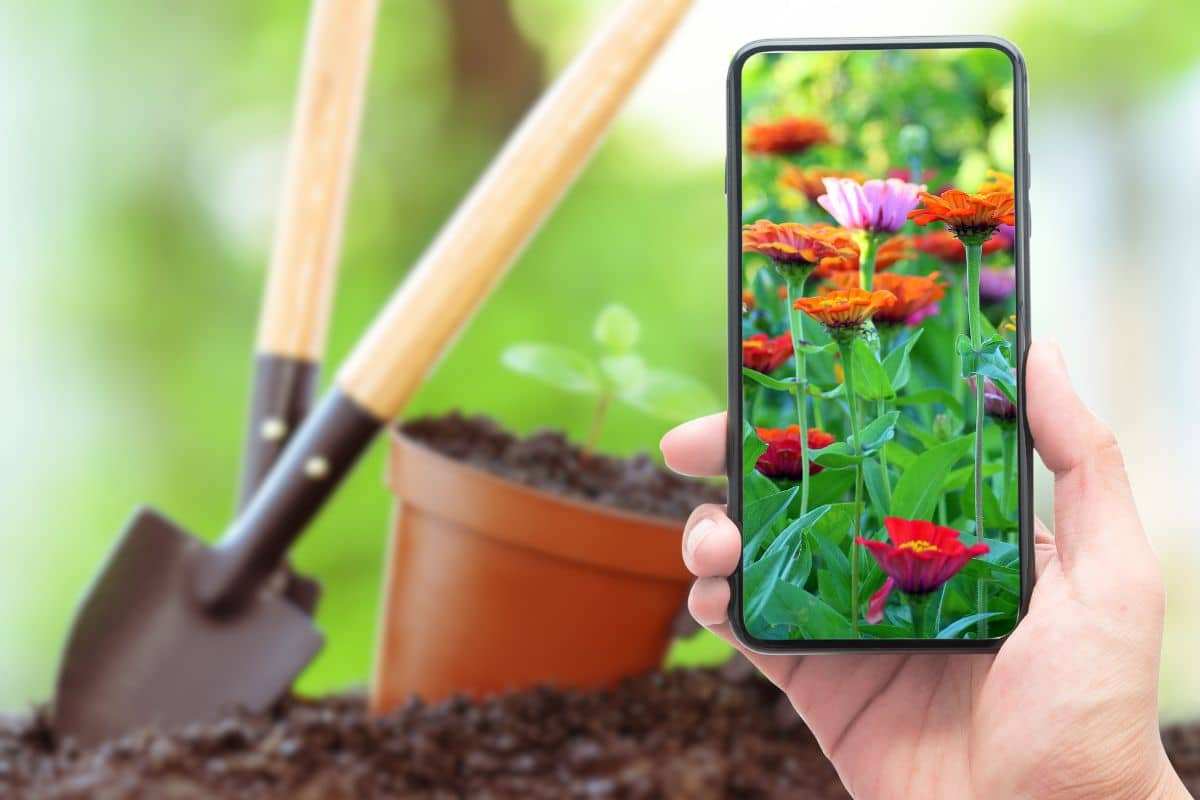 Come usare lo smartphone per controllare le piante del giardino