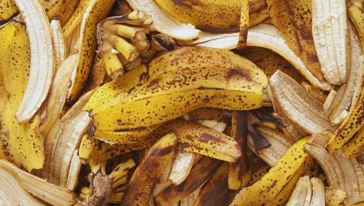 Buccia della banana come usarla