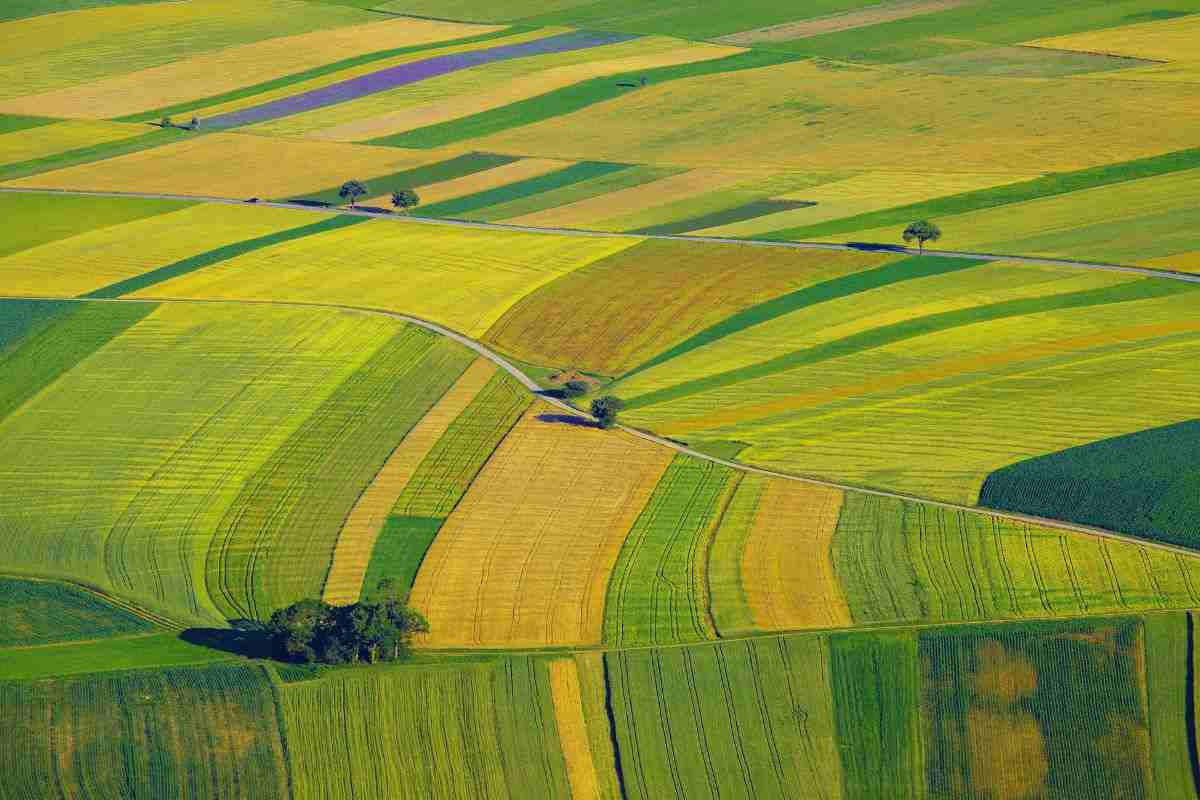 DL Agricoltura cosa c'è da sapere