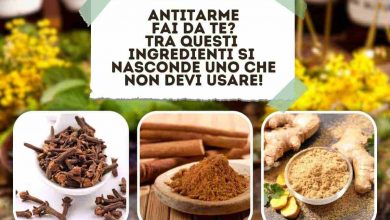 soluzioni naturali anti tarme