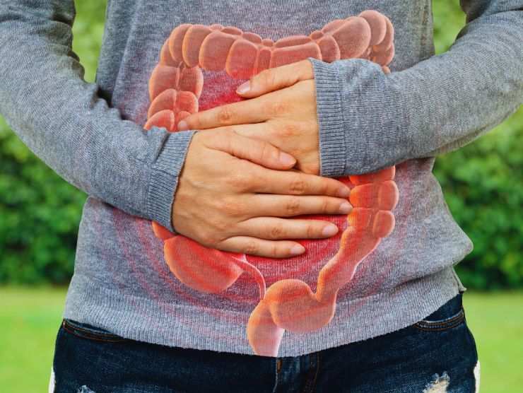 Saúde intestinal: o que fazer?