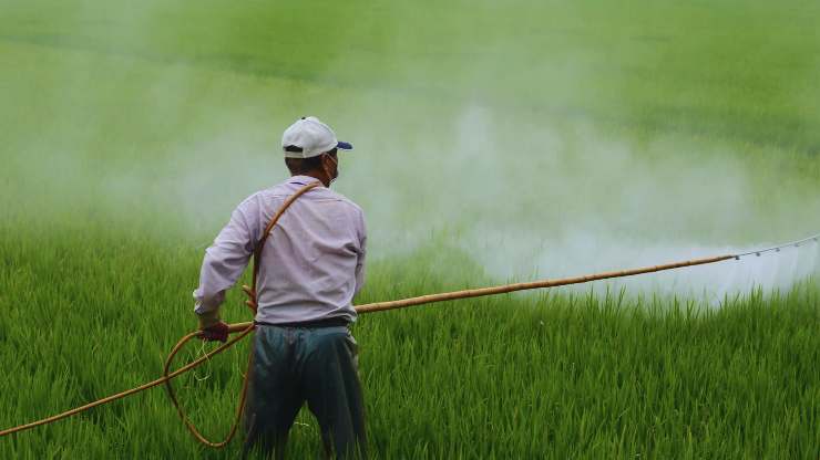 Pesticidi e trucchetti