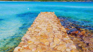 Multa stranieri a Cala Brandinchi