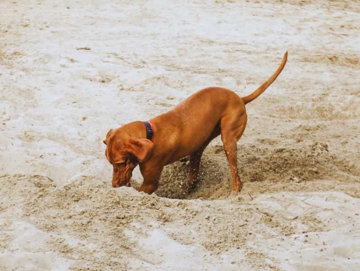 Buche in spiaggia i rischi che si corrono