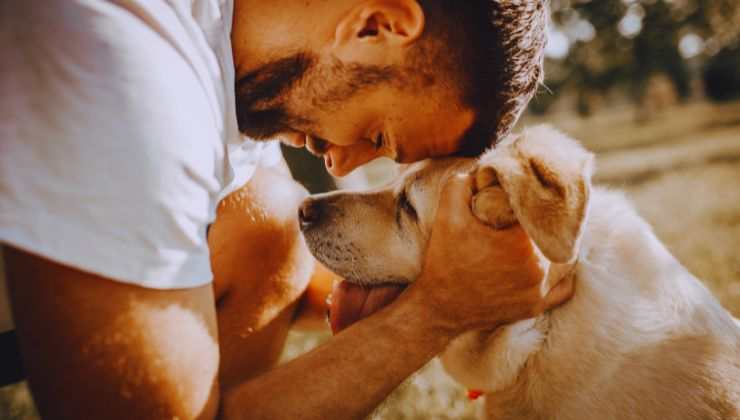 cane congiuntivite cura