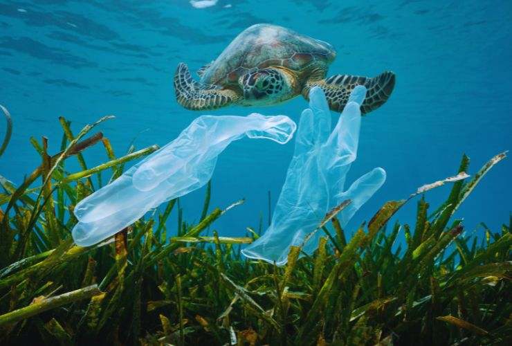 Mar Mediterraneo e plastiche