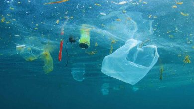 mare nostro pieno di plastiche