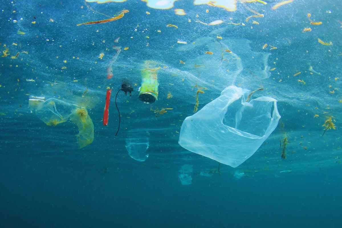 mare nostro pieno di plastiche