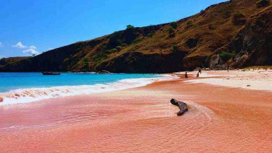 Spiagge rosa come trovarle?