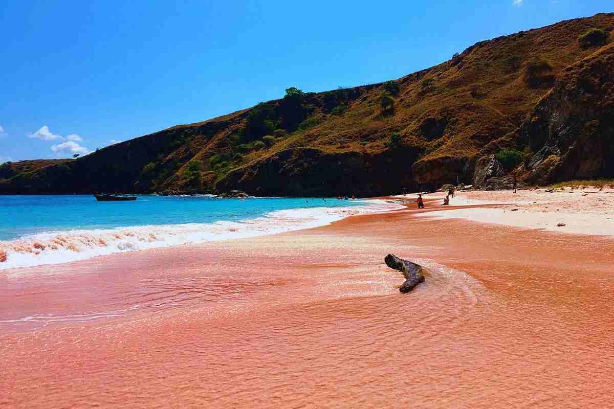 Spiagge rosa come trovarle?