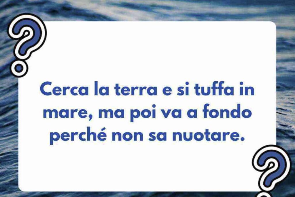 Gli indovinelli sono un modo eccellente per allenare la nostra mente e sviluppare abilità come il pensiero critico e la risoluzione dei problemi.