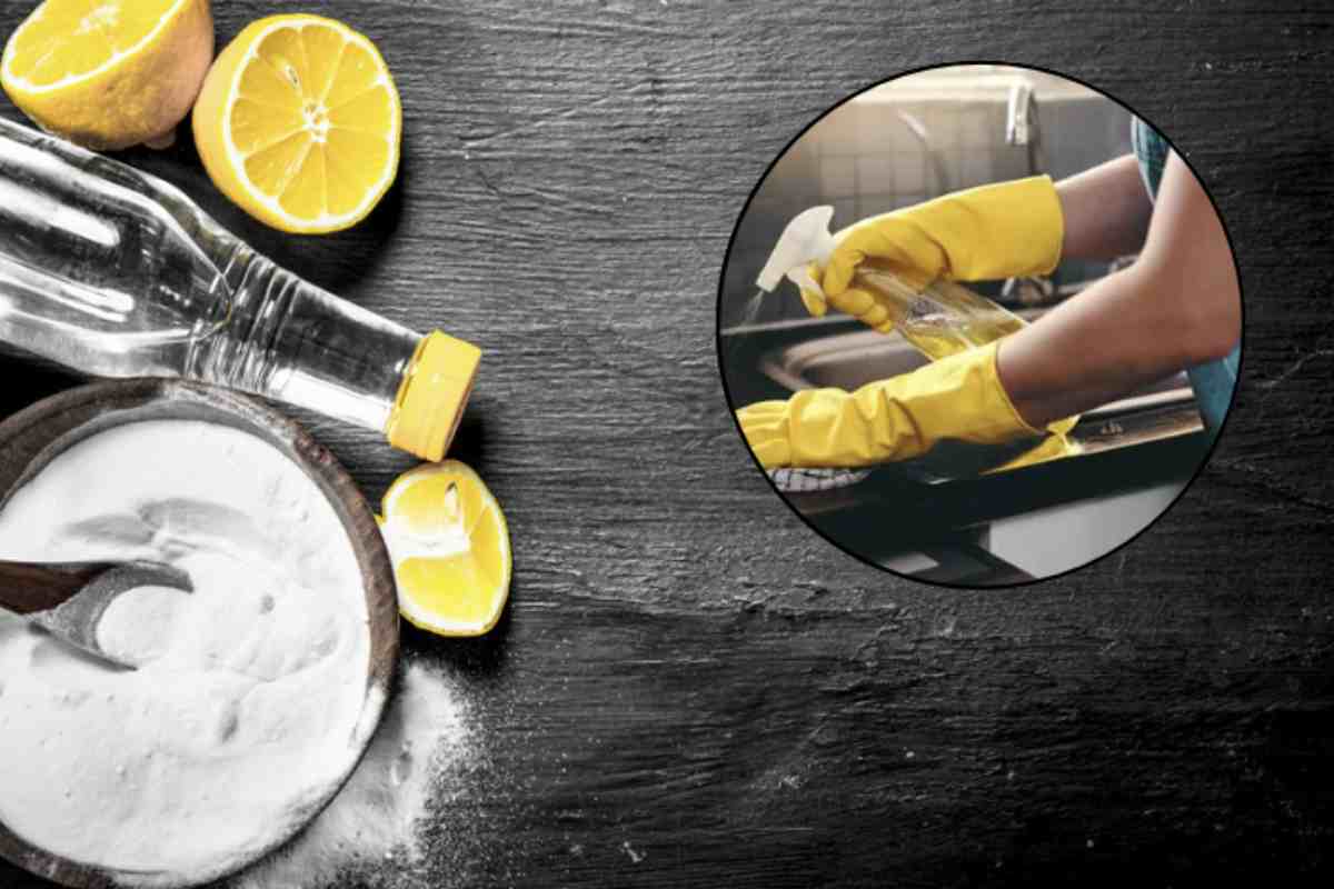 Le scorze di limone sono una risorsa preziosa e ricca di proprietà. Contengono oli essenziali, antiossidanti e vitamine,