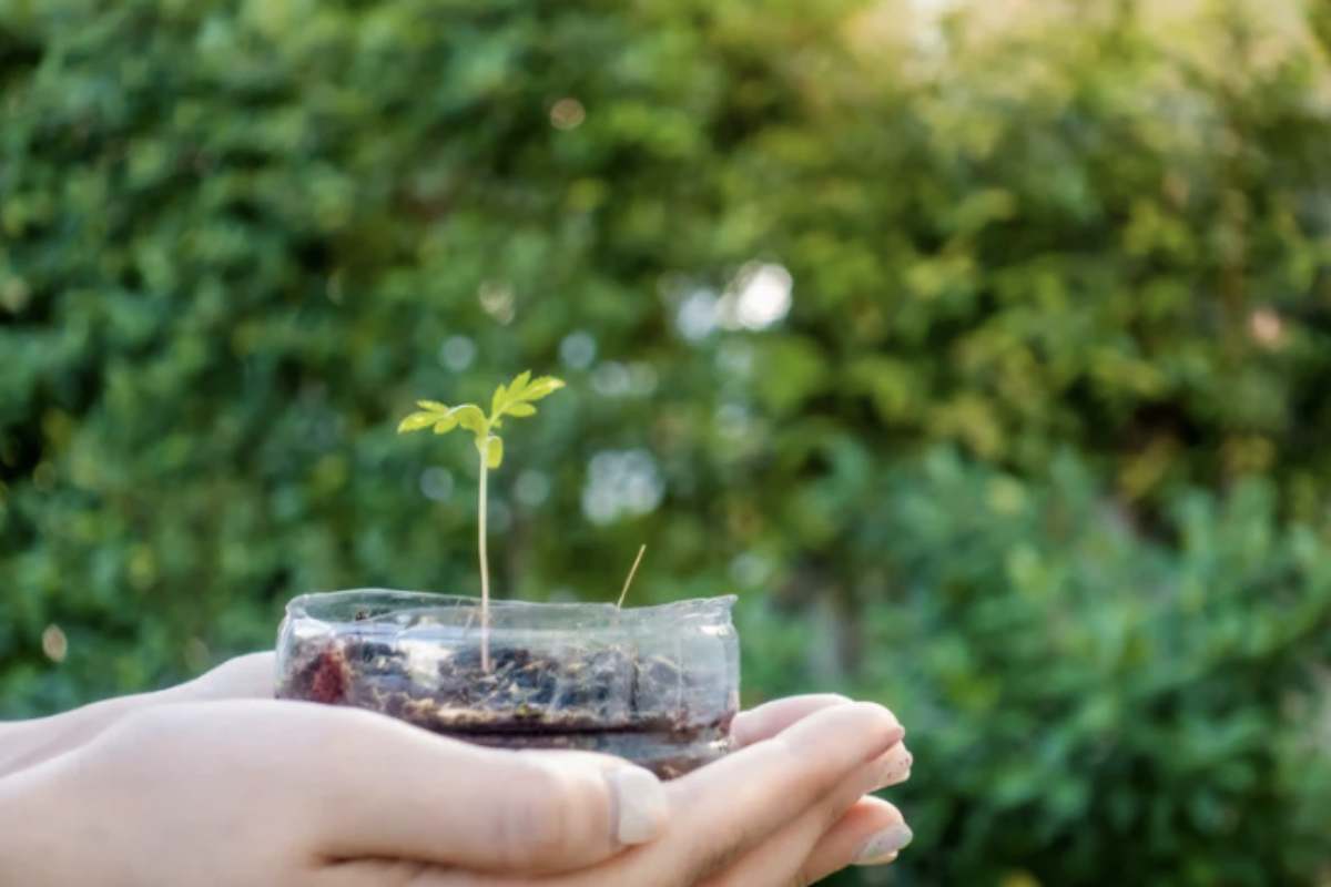 Un primo passo semplice è quello di sostituire le borse di plastica con borse della spesa riutilizzabili.