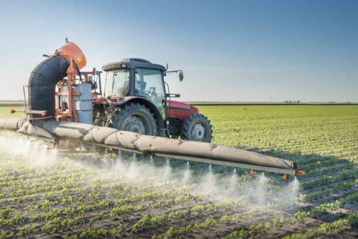 L'uso di queste sostanze chimiche in agricoltura è un tema di grande attualità, poiché influisce non solo sulla salute umana