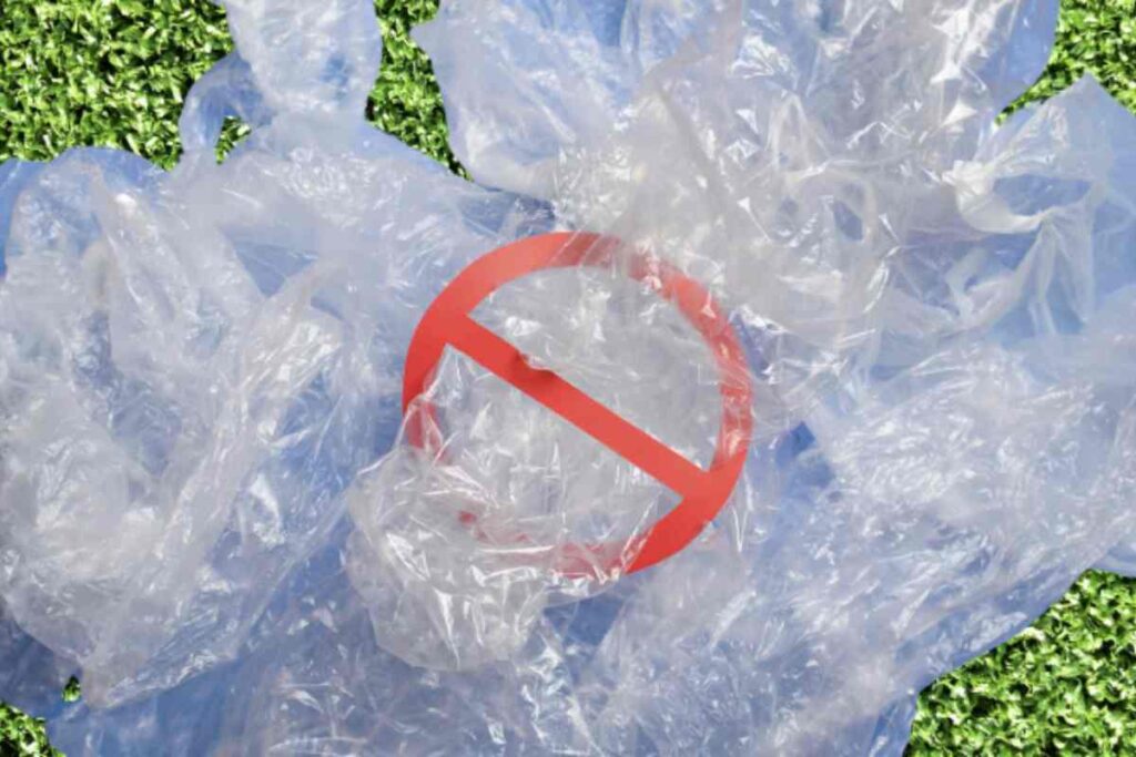 Ogni anno, tonnellate di plastica finiscono nei nostri oceani e nelle discariche, causando danni irreversibili al pianeta.